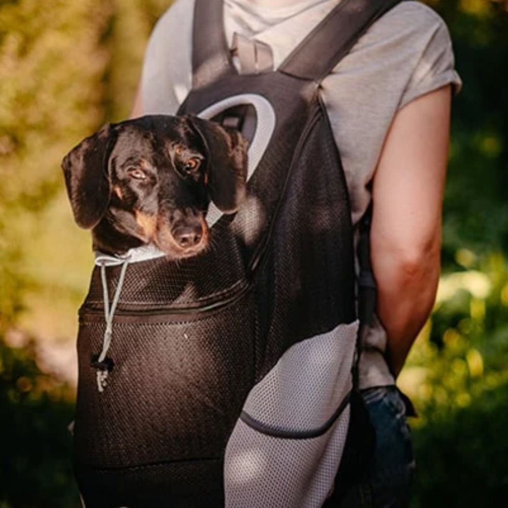 Deluxe Mesh Padded Dog Carrier Backpack- Up to 6 Pounds - Picture 3 of 16